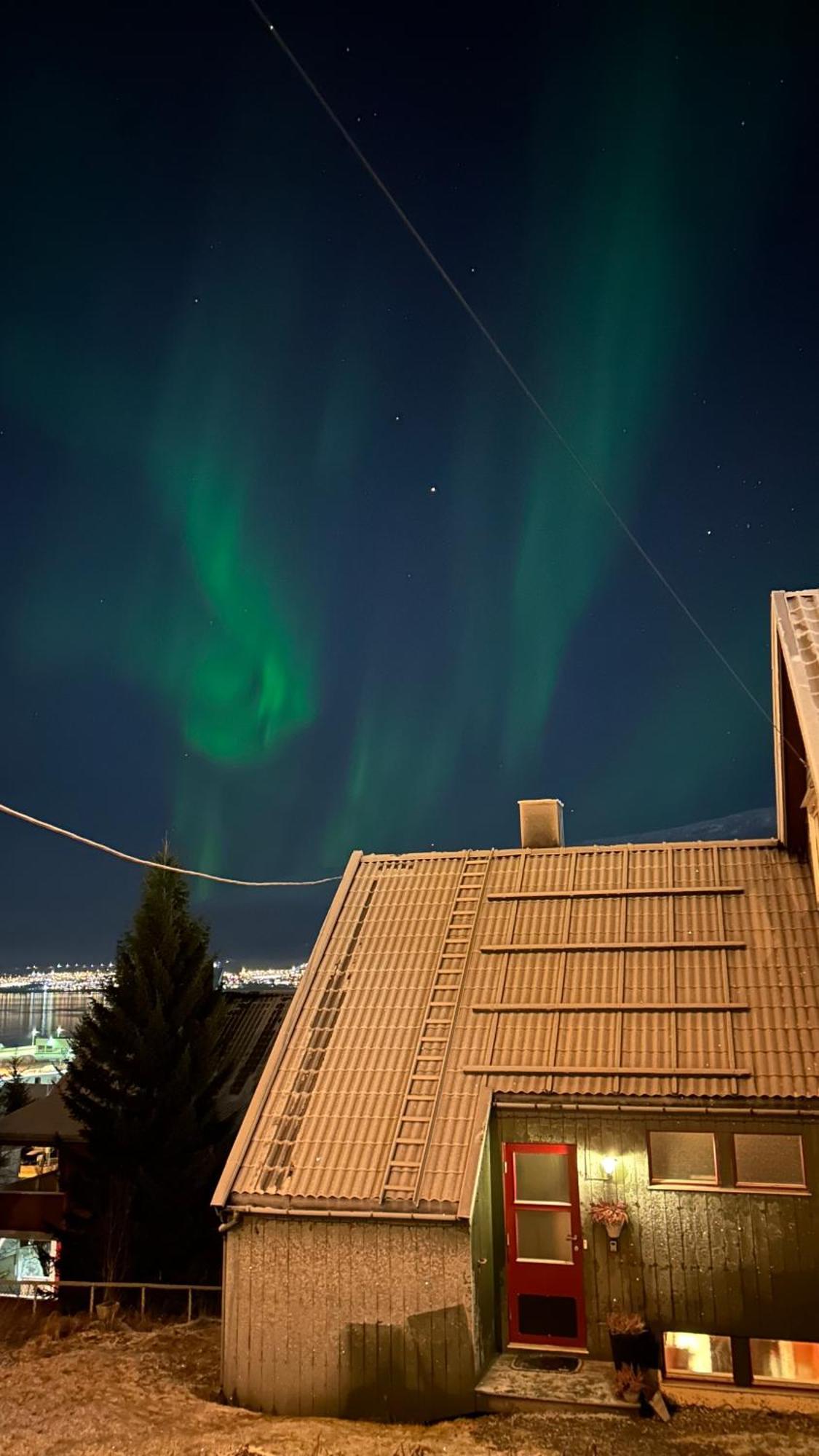 Cozy Little House In Tromso City المظهر الخارجي الصورة